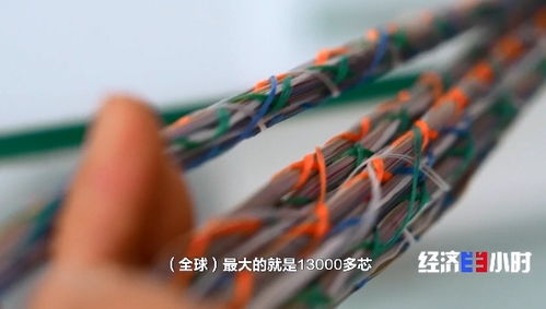 供不应求 国产光纤光模块热卖全球，光缆产业迎来黄金时代